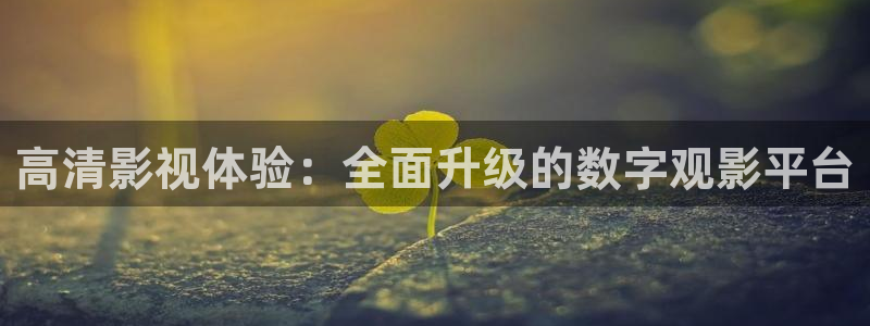 我们的父辈电视剧免费观看星辰影院