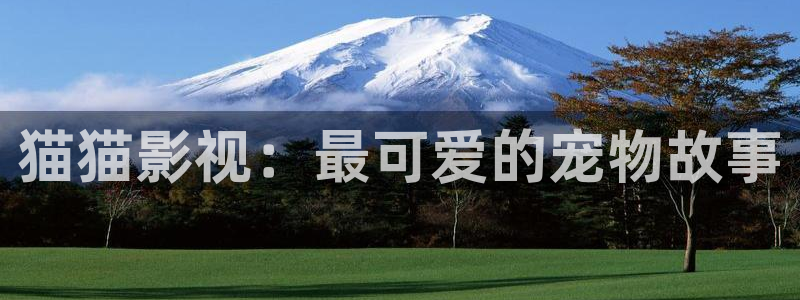 榜上佳婿全集完整版星辰影院