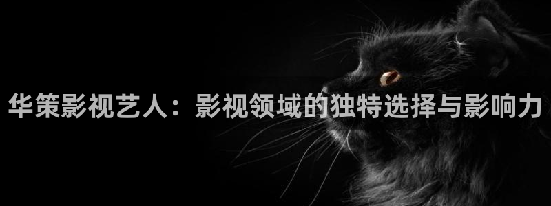 大梦归离电视剧星辰影院免费观看