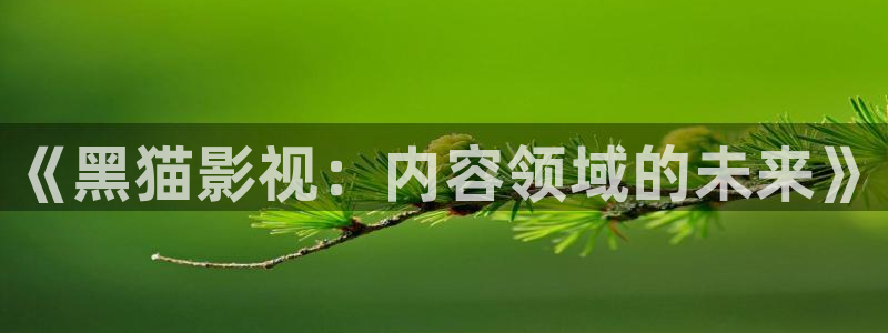 仙逆在线观看全集完整版高清星辰影院：《黑猫影视：内容领域的未来》